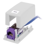 ISB 1-Port Surface Mount Box, WHITE